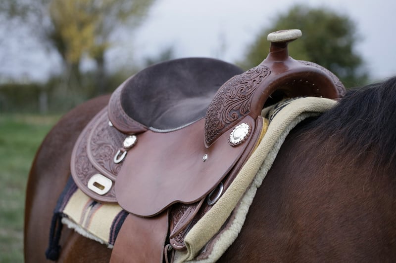 Cowboy Riding Horse