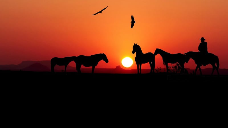Wild West Riders